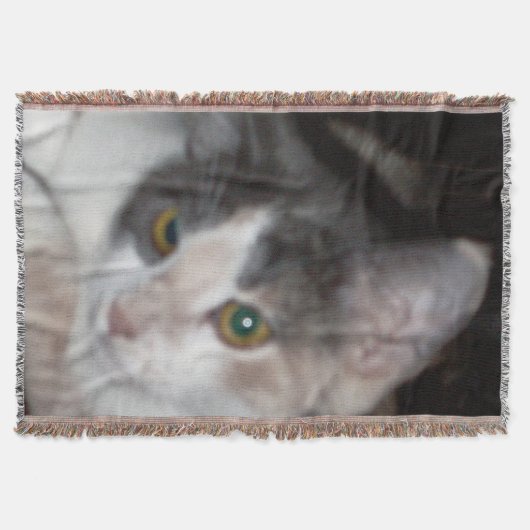 Miss Angel 2 Decke (Vorderseite)