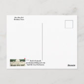 Miss Blue Bell Postcard Postkarte (Rückseite)