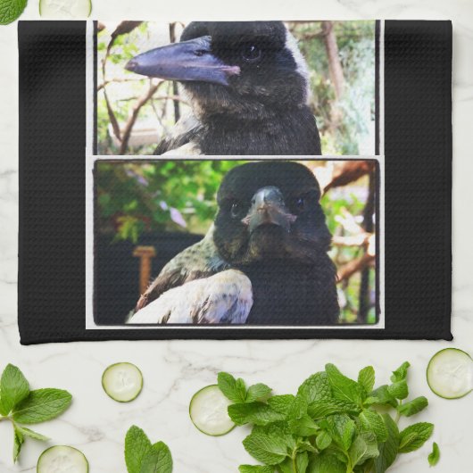 Miss Bub rettet australische Magpie Geschirrtuch (Gefaltet)