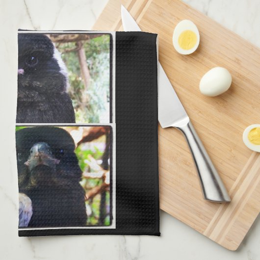 Miss Bub rettet australische Magpie Geschirrtuch (Viertel Falte)