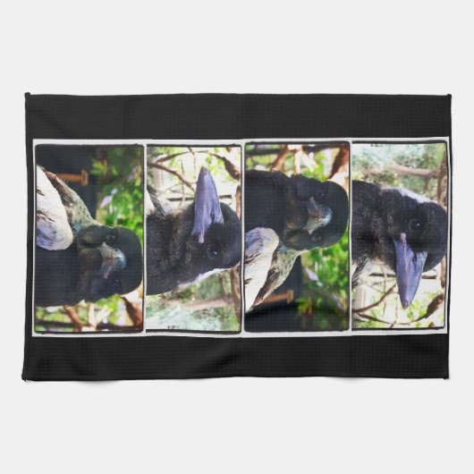 Miss Bub rettet australische Magpie Geschirrtuch (Horizontal)