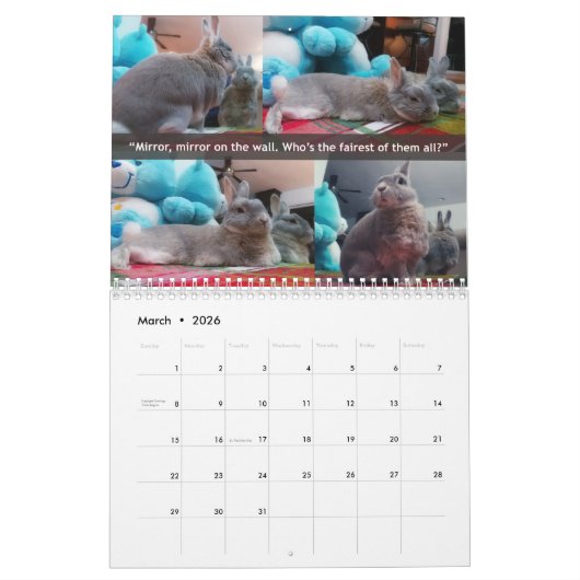 Miss Bunz 2023 Kalender (Mär 2026)