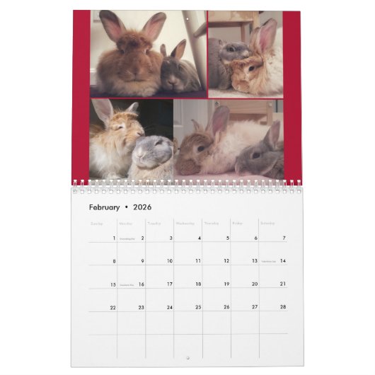 Miss Bunz 2023 Kalender (Feb 2026)