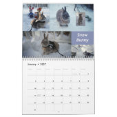 Miss Bunz 2023 Kalender (Jan 2027)