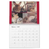Miss Bunz 2024 Kalender (Feb 2027)