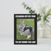 Miss Bunz Reinigungspaw Postcard Postkarte (Stehend Vorderseite)