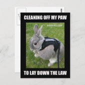 Miss Bunz Reinigungspaw Postcard Postkarte (Vorne/Hinten)