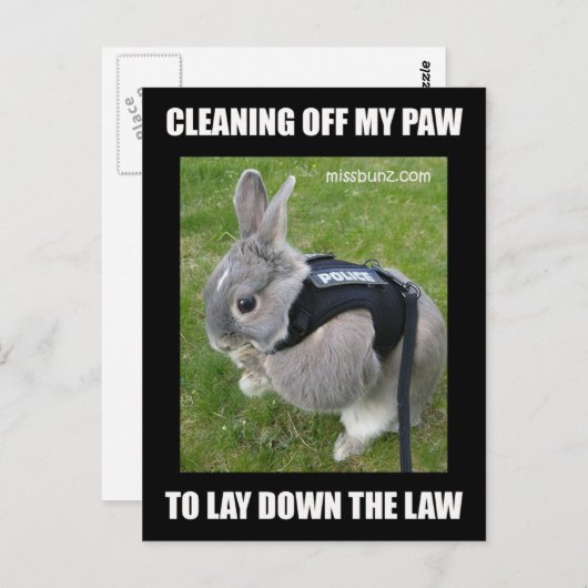 Miss Bunz Reinigungspaw Postcard Postkarte (Vorne/Hinten)