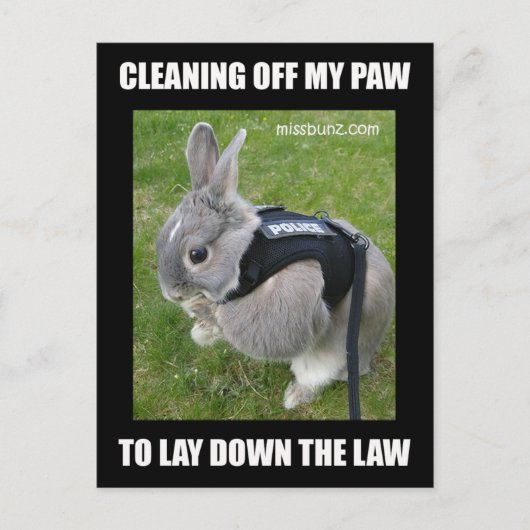 Miss Bunz Reinigungspaw Postcard Postkarte (Vorderseite)