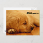 Miss dich! Golden Retriever Puppy Postkarte (Vorne/Hinten)