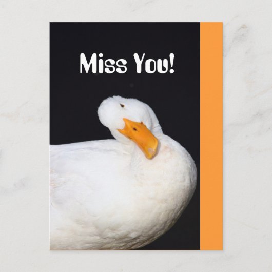 Miss dich! Niedliche White Duck Postkarte (Vorderseite)