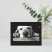 Miss dich! postkarte (Stehend Vorderseite)