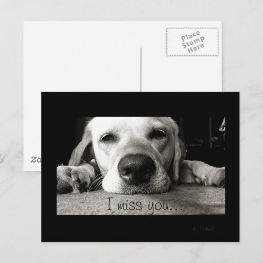 Miss dich! postkarte (Vorne/Hinten)