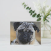 Miss DICH! Postkarte (Stehend Vorderseite)