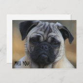 Miss DICH! Postkarte (Vorne/Hinten)