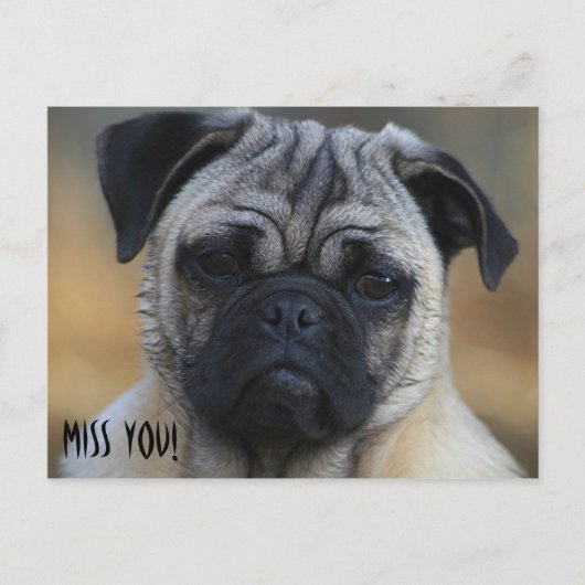 Miss DICH! Postkarte (Vorderseite)