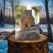 Miss dir meinen netten Freund! Funny Squirrel Pub Karte