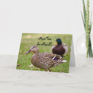 Miss dir so viel Duck Card Karte