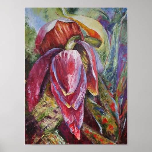 Miss Dominica Poster (Vorne)