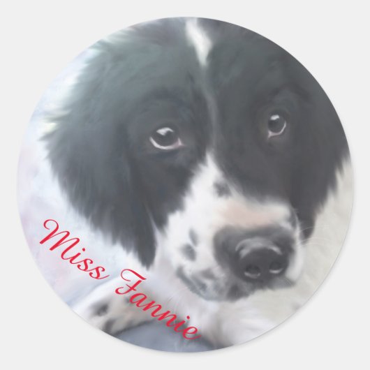 Miss Fannie - English Springer Spanisch Sticker (Vorderseite)