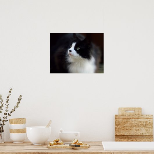 Miss Fluffy Poster (Küche)