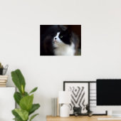 Miss Fluffy Poster (Heimbüro)
