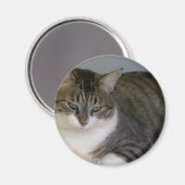 Miss Hannah Magnet (Vorderseite/Rückseite)