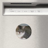 Miss Hannah Magnet (In Situ (Geschirrspüler))