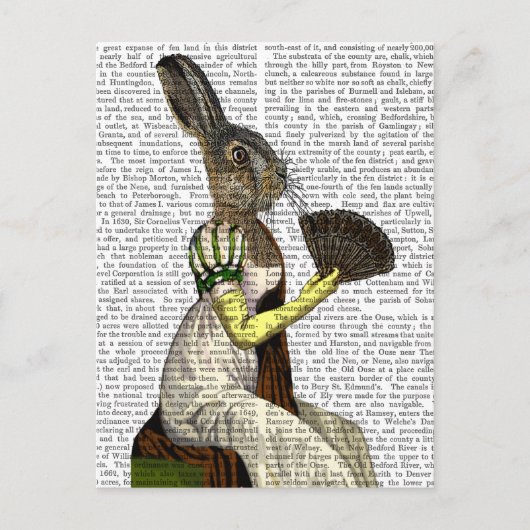 Miss Hare Postkarte (Vorderseite)