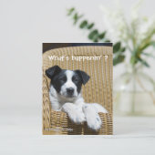 Miss Ihr Niedliches Schwarz-Weiß-Foto Postkarte (Stehend Vorderseite)