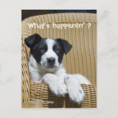 Miss Ihr Niedliches Schwarz-Weiß-Foto Postkarte (Vorderseite)