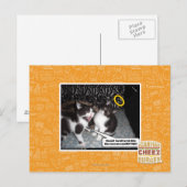 Miss Innocent Postkarte (Vorne/Hinten)