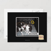 Miss Innocent Postkarte (Vorne/Hinten)