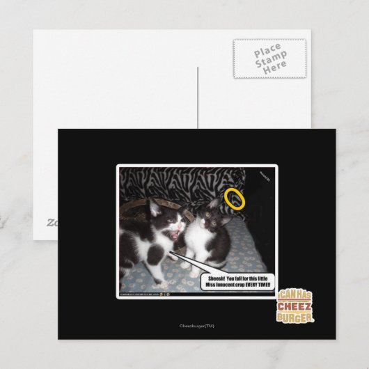 Miss Innocent Postkarte (Vorne/Hinten)