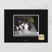 Miss Innocent Postkarte (Vorderseite)