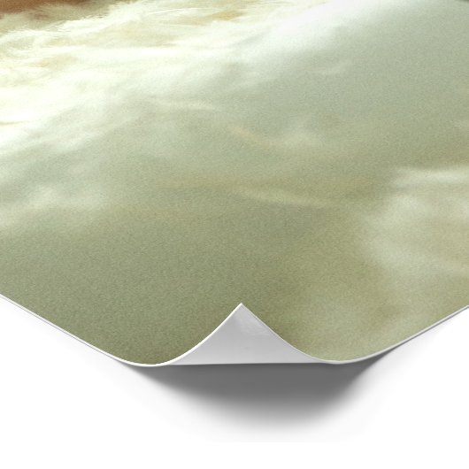 Miss Jackson Exclusive Poster (Ecke)