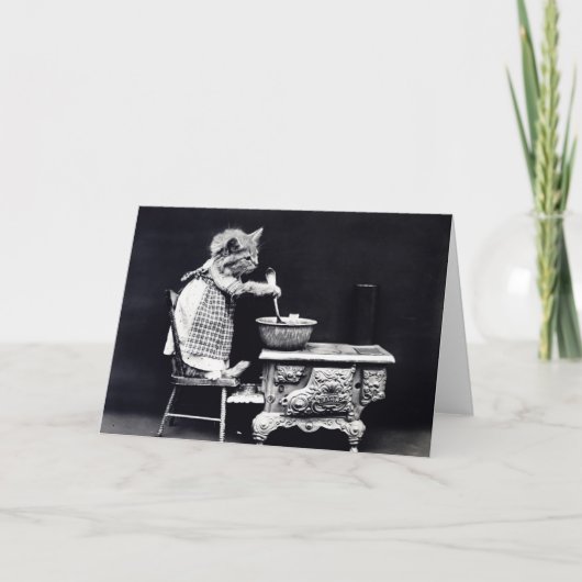 Miss Kitten Cooking Karte (Vorderseite)