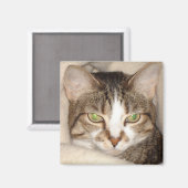 Miss.Kitty.2010 Magnet (Vorderseite/Rückseite)
