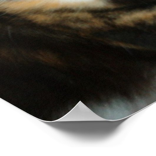 Miss. Kitty Poster (Ecke)