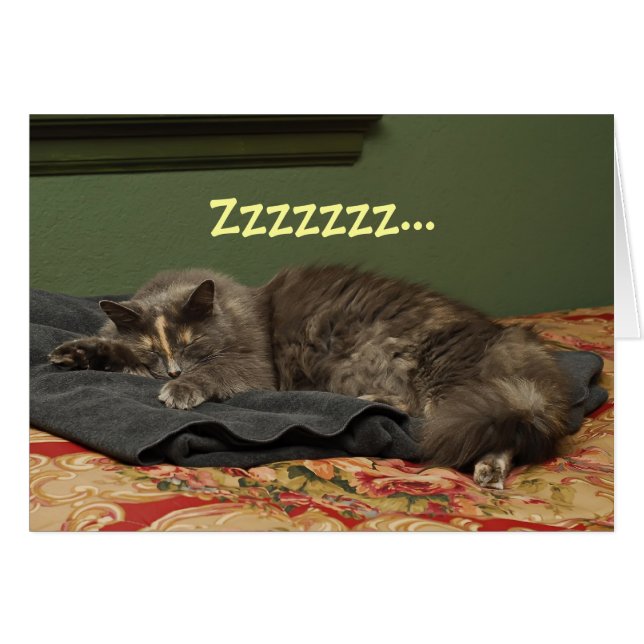 Miss Kitty's Big Day (Vorderseite (Horizontal))