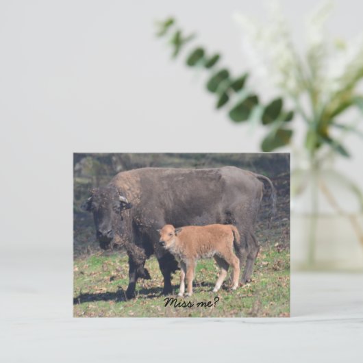 Miss mir Postkarte (Stehend Vorderseite)