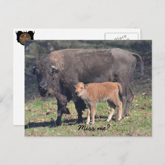 Miss mir Postkarte (Vorne/Hinten)