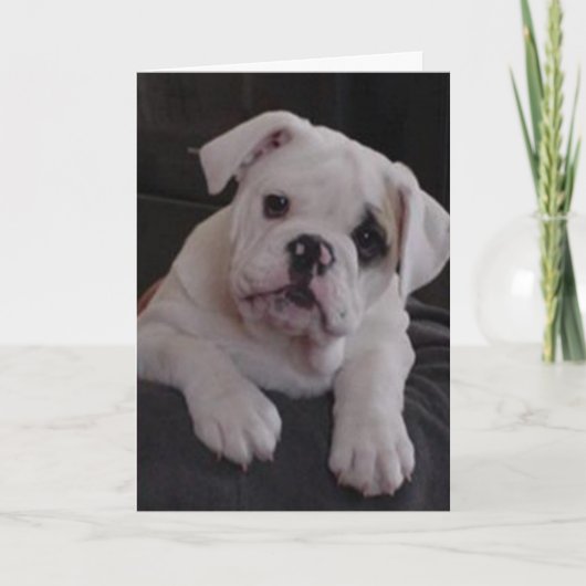 Miss Nala Karte (Vorderseite)