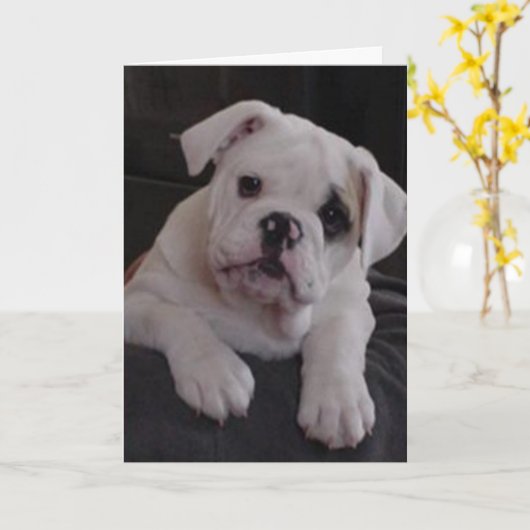 Miss Nala Karte (Gelbe Blume)