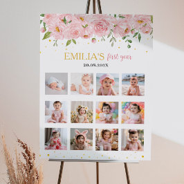 Miss Onederful Birthday 12 Foto Milestone Poster