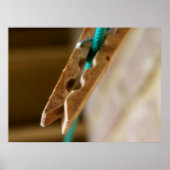 Miss Peg Poster (Vorne)