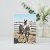 Miss Peppy Shu Postkarte (Stehend Vorderseite)