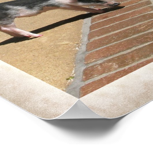 Miss Piggy im Paradies Poster (Ecke)