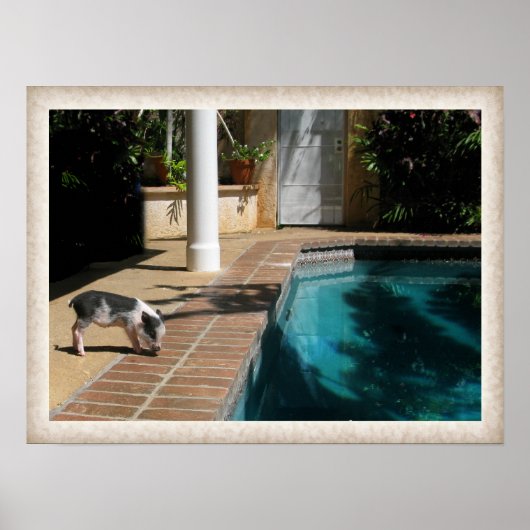 Miss Piggy im Paradies Poster (Vorne)