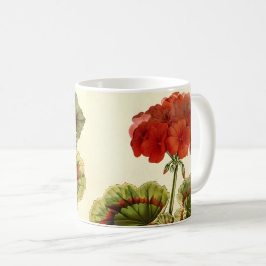 'Miss Pollack' Zonal Geranium Kaffeetasse (VorderseiteRechts)
